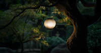 Les Avantages Écologiques des Lanternes Solaires Pour Votre Jardin